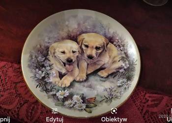 Piękny talerz kolekcjonerski Pieski porcelana Anglia, używany na sprzedaż  Ciepielewo