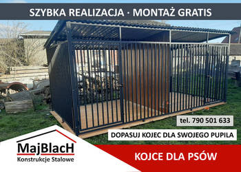 Typowy Metalowy Kojec dla Psa - |Kojce dla Psów |Producent – Maj-Blach na sprzedaż  Szczecin