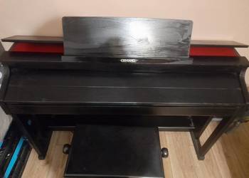 Sprzedam pianino casio AP-650M na sprzedaż  Kalisz