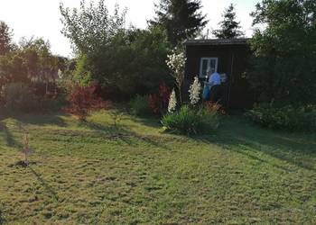 Sprzedam działkę ROD na sprzedaż  Kędzierzyn-Koźle