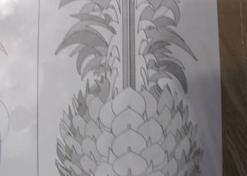 Puzzle 3d tekturowe ananas na sprzedaż  Zamość