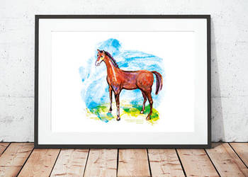 plakat z koniem,ładny obrazek z koniem,łobrazek dla dzieci, używany na sprzedaż  Katowice
