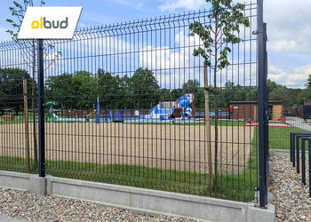 Używany, Panel ogrodzeniowy 3D 2030 mm - fi5 mm 46 - Gdańsk na sprzedaż  Straszyn