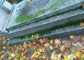 Czyszczenie nagrobków,mycie pomników,opieka nad grobem, używany na sprzedaż  Toruń