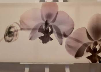 Obraz płótno, widmo orchidei z Ikea 140/56 na sprzedaż  Warszawa