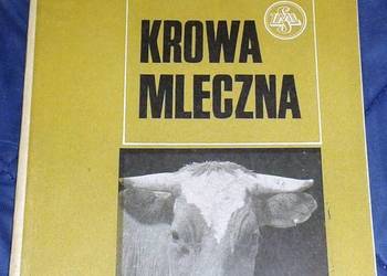 Krowa mleczna - Henryk Jasiorowski na sprzedaż  Chełm