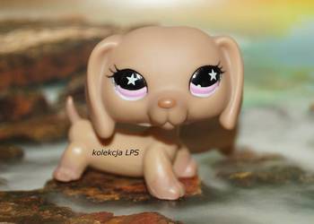 littlest pet shop na sprzedaż littlest pet shop na sprzedaż Rybnik