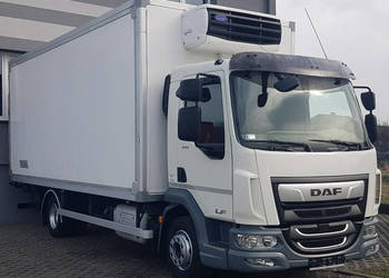 DAF 12T LF 210 WINDA CHŁODNIA 14EP 5,80x2,48x2,29 KLIMA IZO… na sprzedaż  Poręba