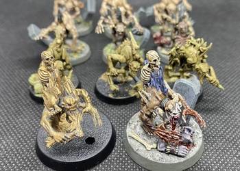 Flesh-Eater Courts: Crypt Ghouls Warhammer 20 szt. na sprzedaż  Gdańsk