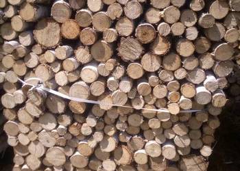 Drewno opałowe na sprzedaż  Wisznice
