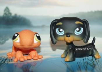 LPS Littlest Pet Shop jamnik #325 gekon #326 oryginalny pop oryginał na sprzedaż  Rybnik
