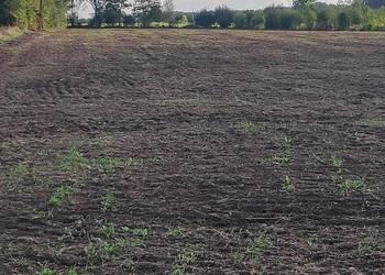 ziemia rolna na sprzedaż ziemia rolna na sprzedaż Siemiatycze