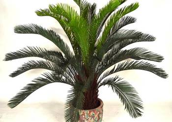 Cykas Revoluta Sagowiec sztuczna palma 90cm ładny na sprzedaż  Wąbrzeźno