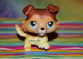LPS Littlest Pet Shop collie #58 SAGE oryginalny UNIKAT POP, używany na sprzedaż  Rybnik